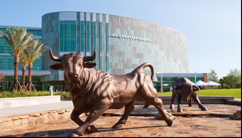 南佛羅里達大學(xué) University of South Florida